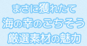 まさに獲れたて海の幸のごちそう厳選素材の魅力