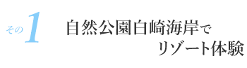 その1　自然公園白崎海岸でリゾート体験