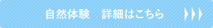 自然体験　詳細はこちら