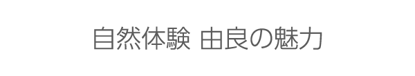 自然体験 由良の魅力