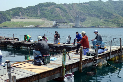 由良海つり公園&釣堀体験　画像